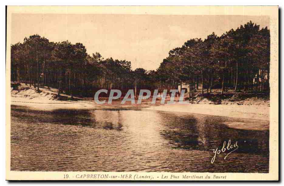 Capbreton sur Mer - Les Pins Maritimes du Bouret - CPA 