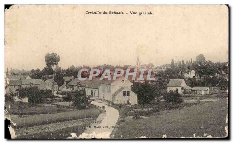Corbeilles du Gatinais - Vue Generale - CPA