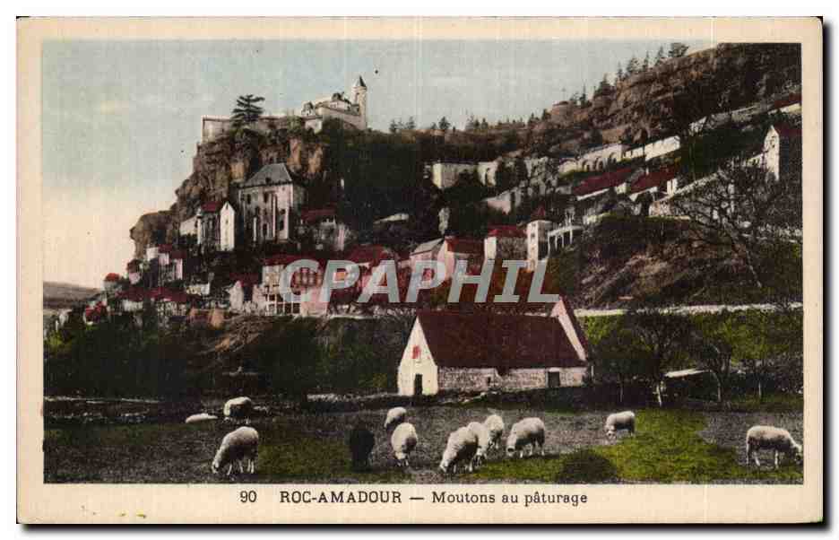 Rocamadour - Moutons aux Paturage - sheep - CPA 