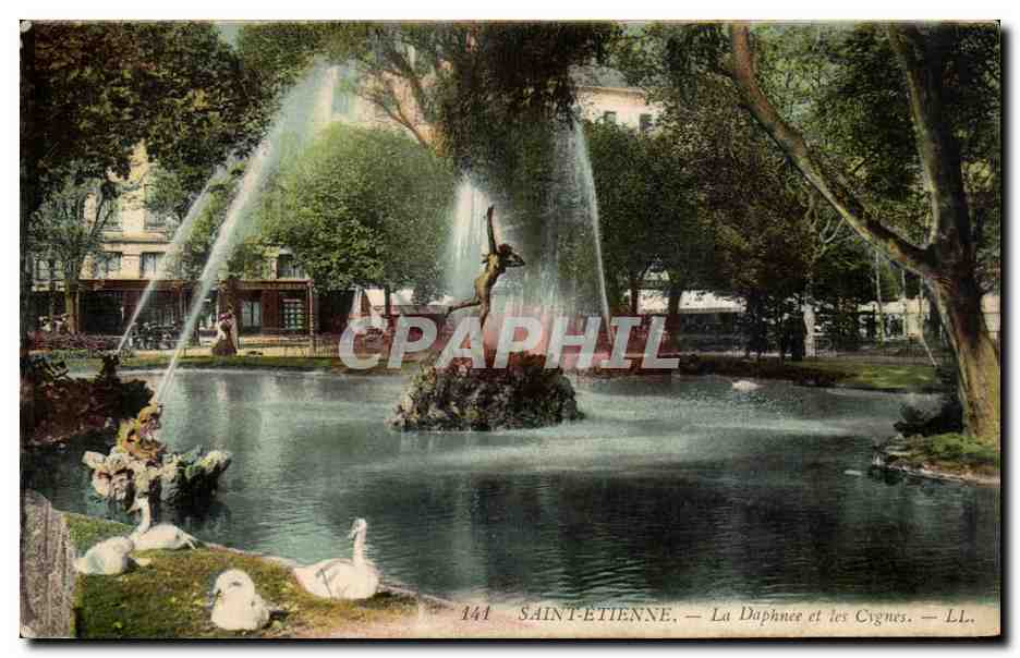 Saint Etienne - La Daphnee et les cygnes Swan - CPA 