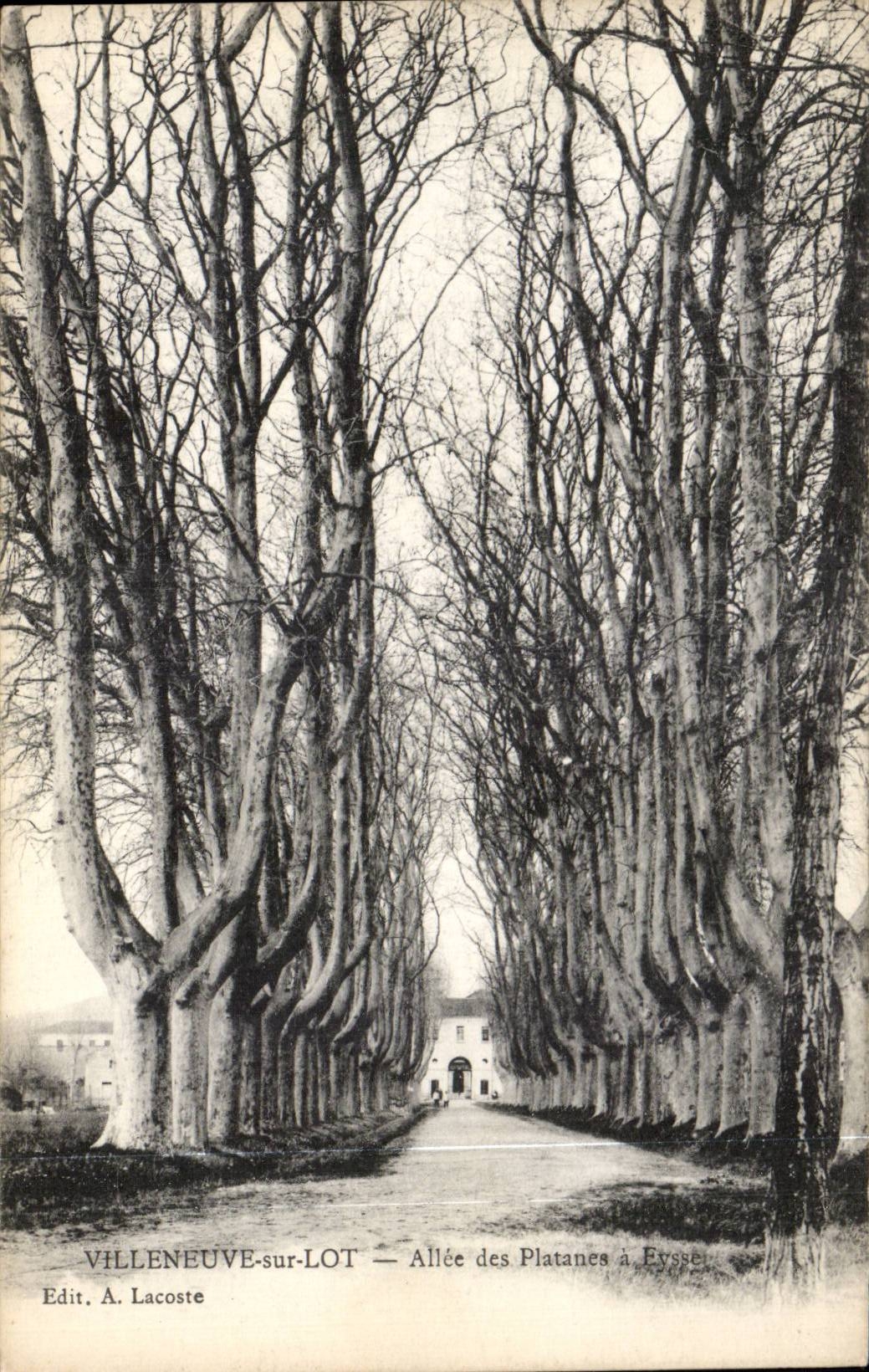 Villeneuve-sur-Lot — Allée des Platanes à Eysse — Edit. A. Lacoste