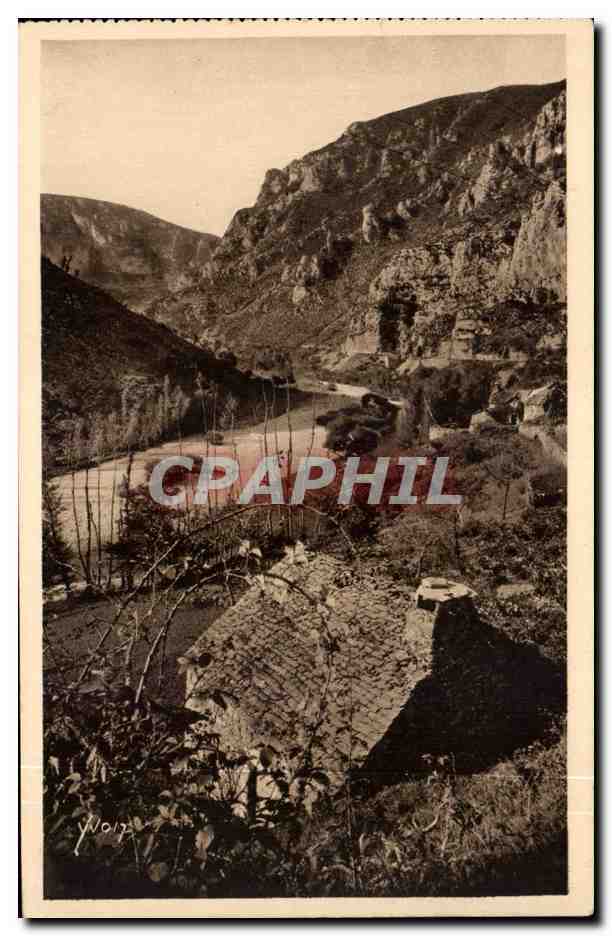 CPA Gorges du Tarn Les gorges apres la Malene 