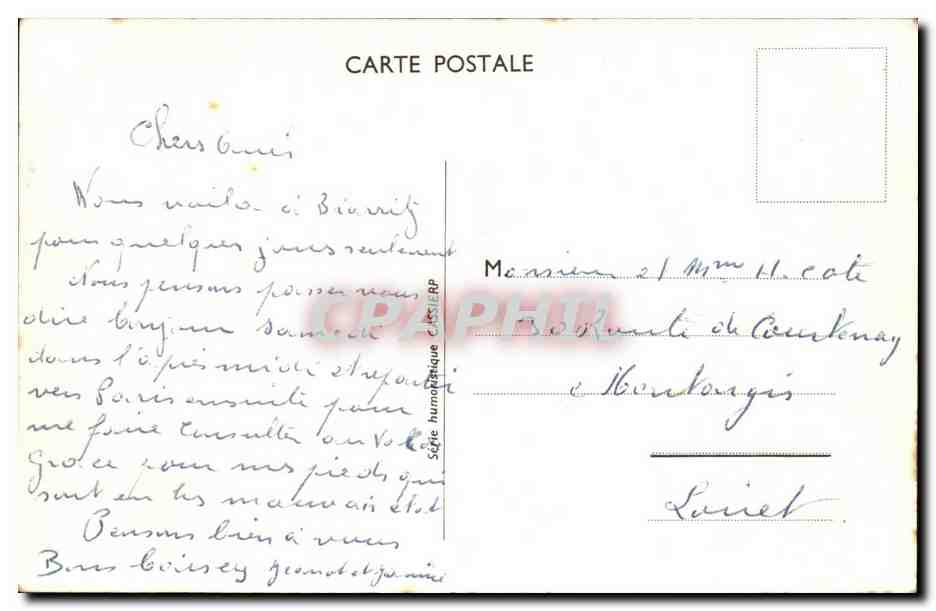 CPA Humour Femme forte Coup de soleil sur la lune Chien  — Verso