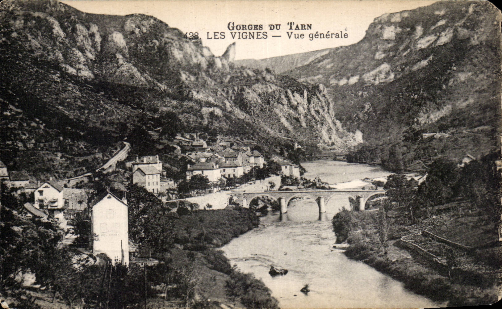 CPA Gorges du Tarn Les vignes 