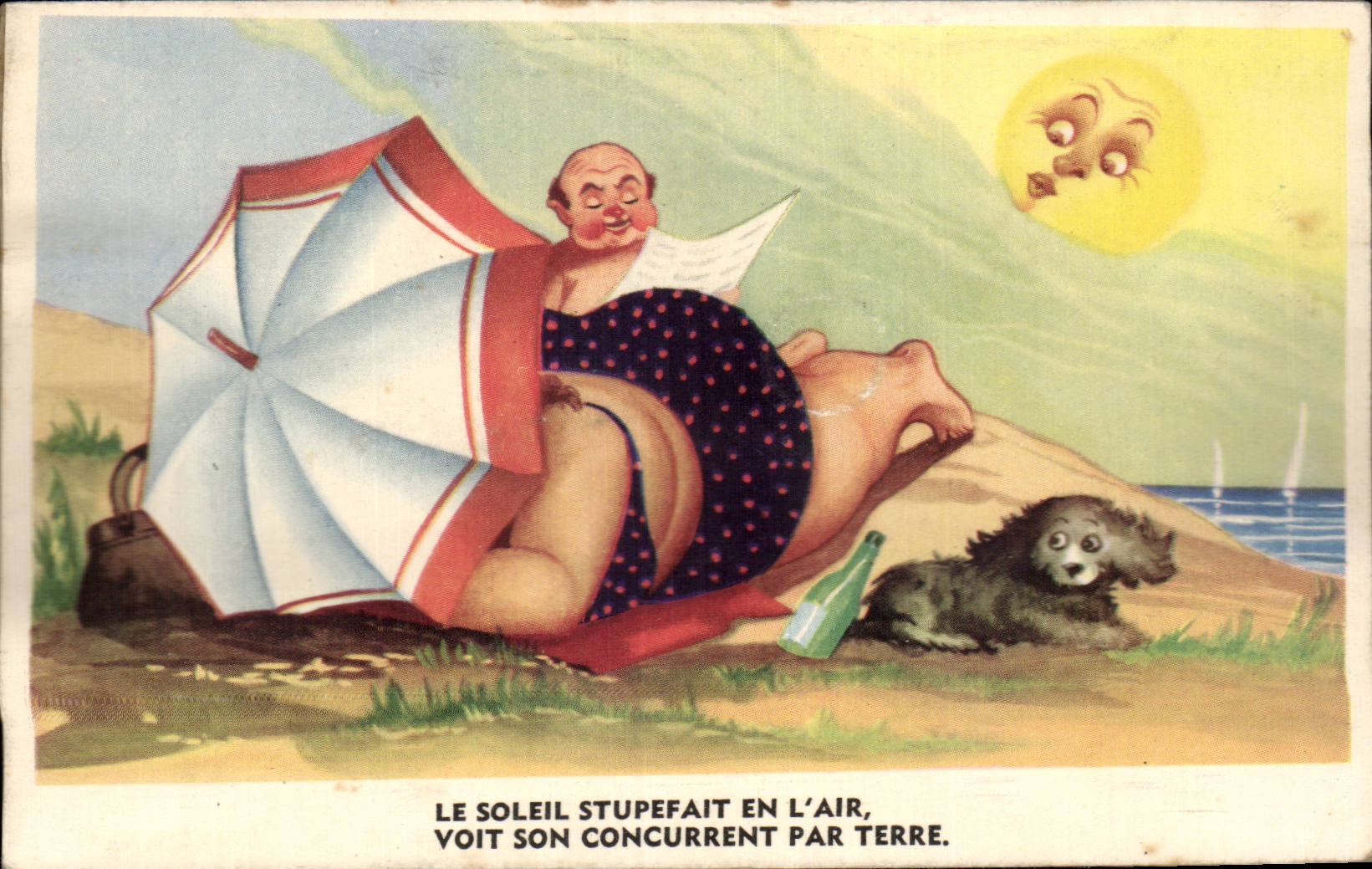 Humour - Illustration - Le Soleil stupefait en l'air - chien - dog - CPA 
