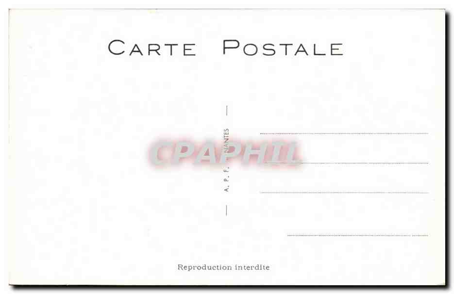 Humour - Illustration - Doucement Medor - ca sent le faisan - chien - dog - chasse - hunting - CPA  — Rückseite