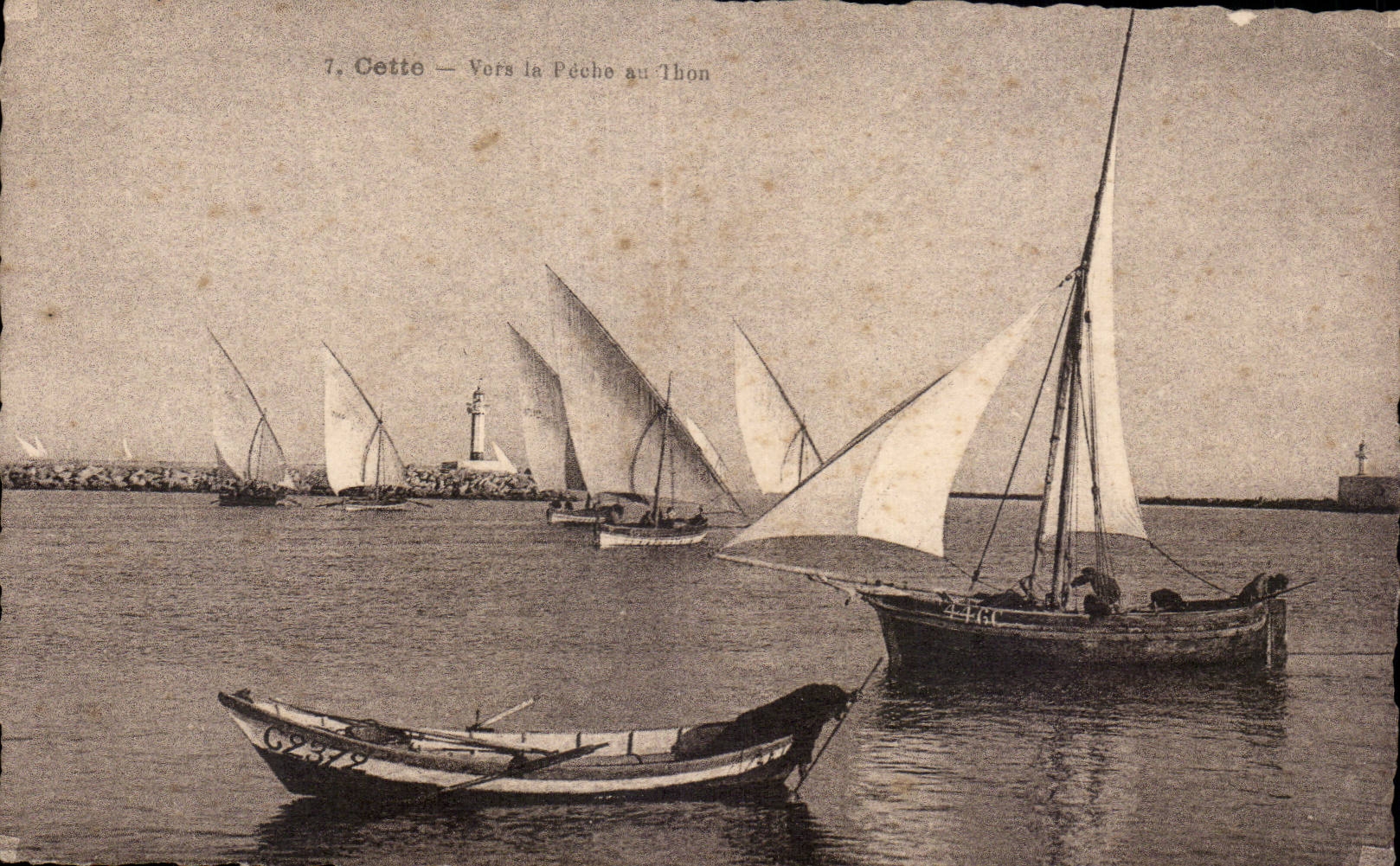 Sete - Cette - La Peche au Thon - CPA 