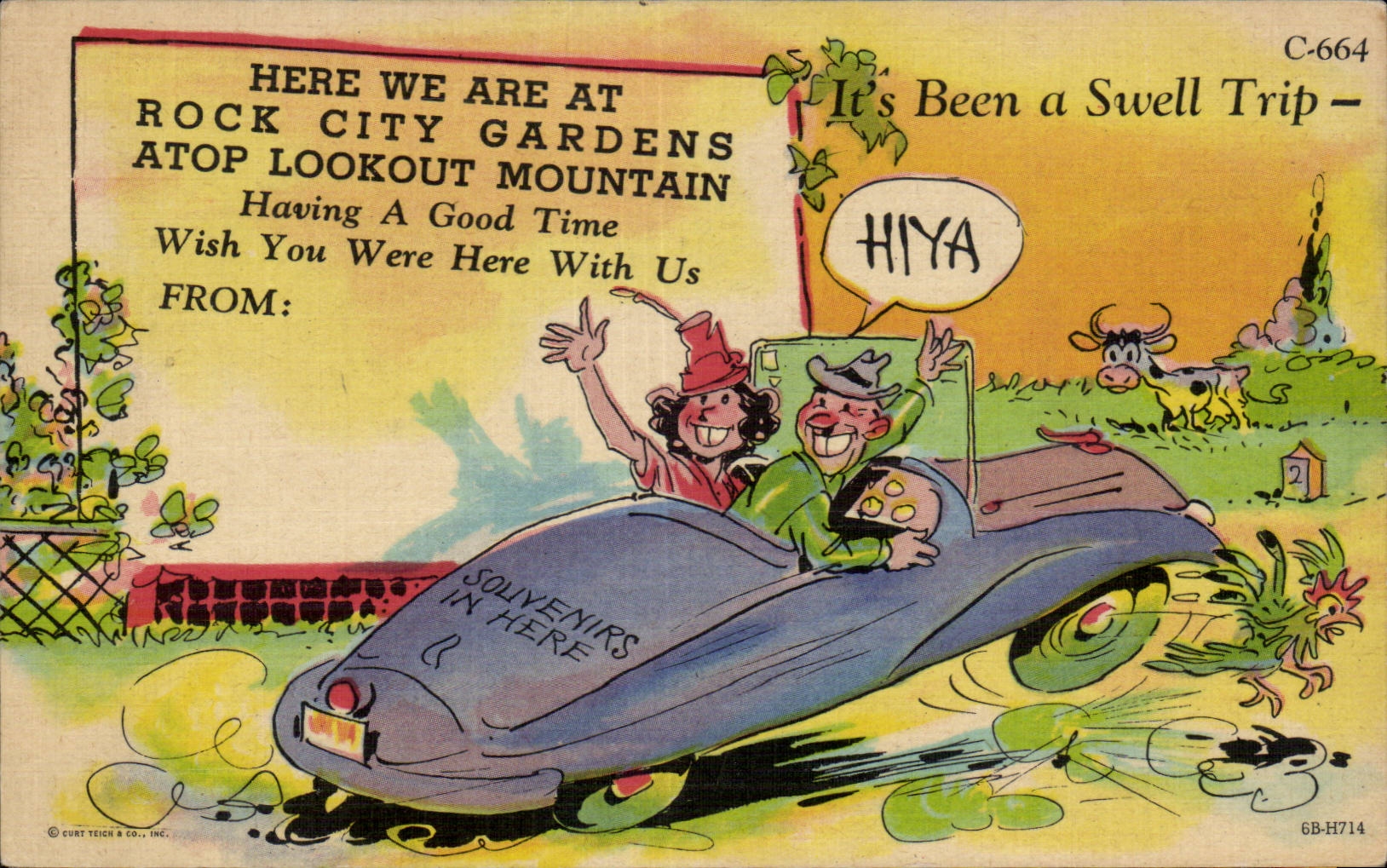 Rock City Gardens – Auf Lookout Mountain — Curt Teich & Co., Inc. C-664