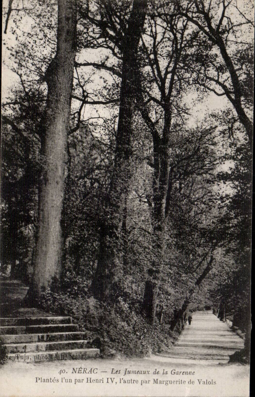 Nerac - Les Jumeaux de la Garenne Plantes par Henri IV et Marguerite de Valois Arbre Tree - CPA 