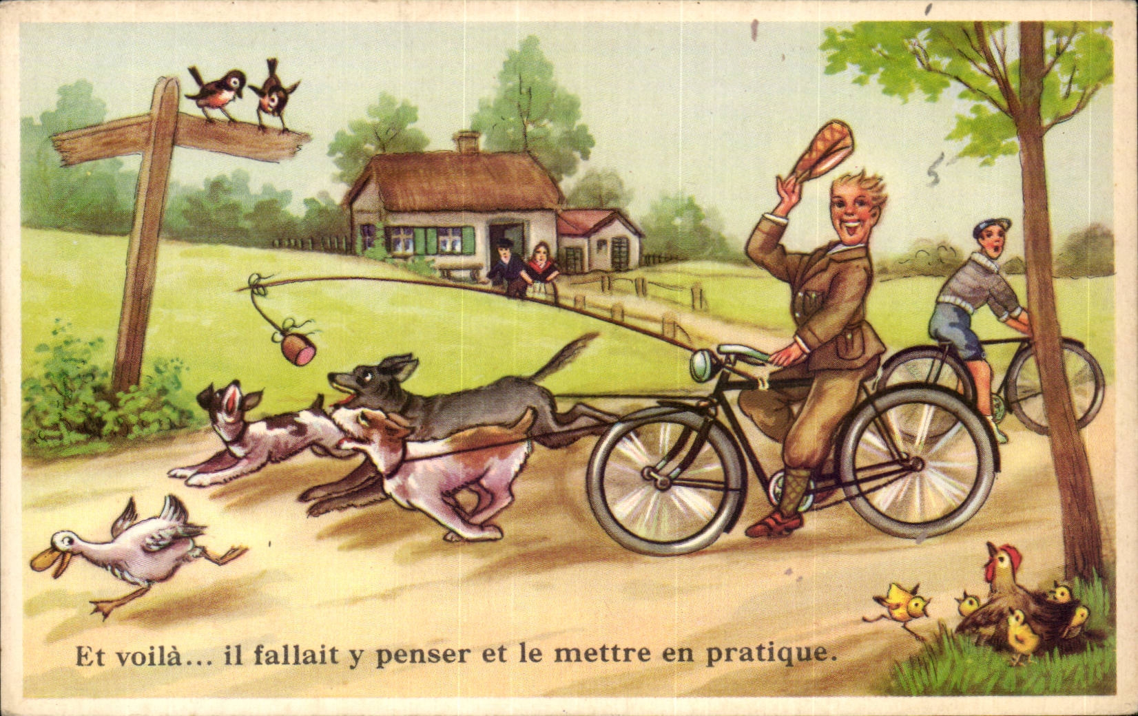 Humour - Illustration - velo - chien - bicycle - dogs - CPA 