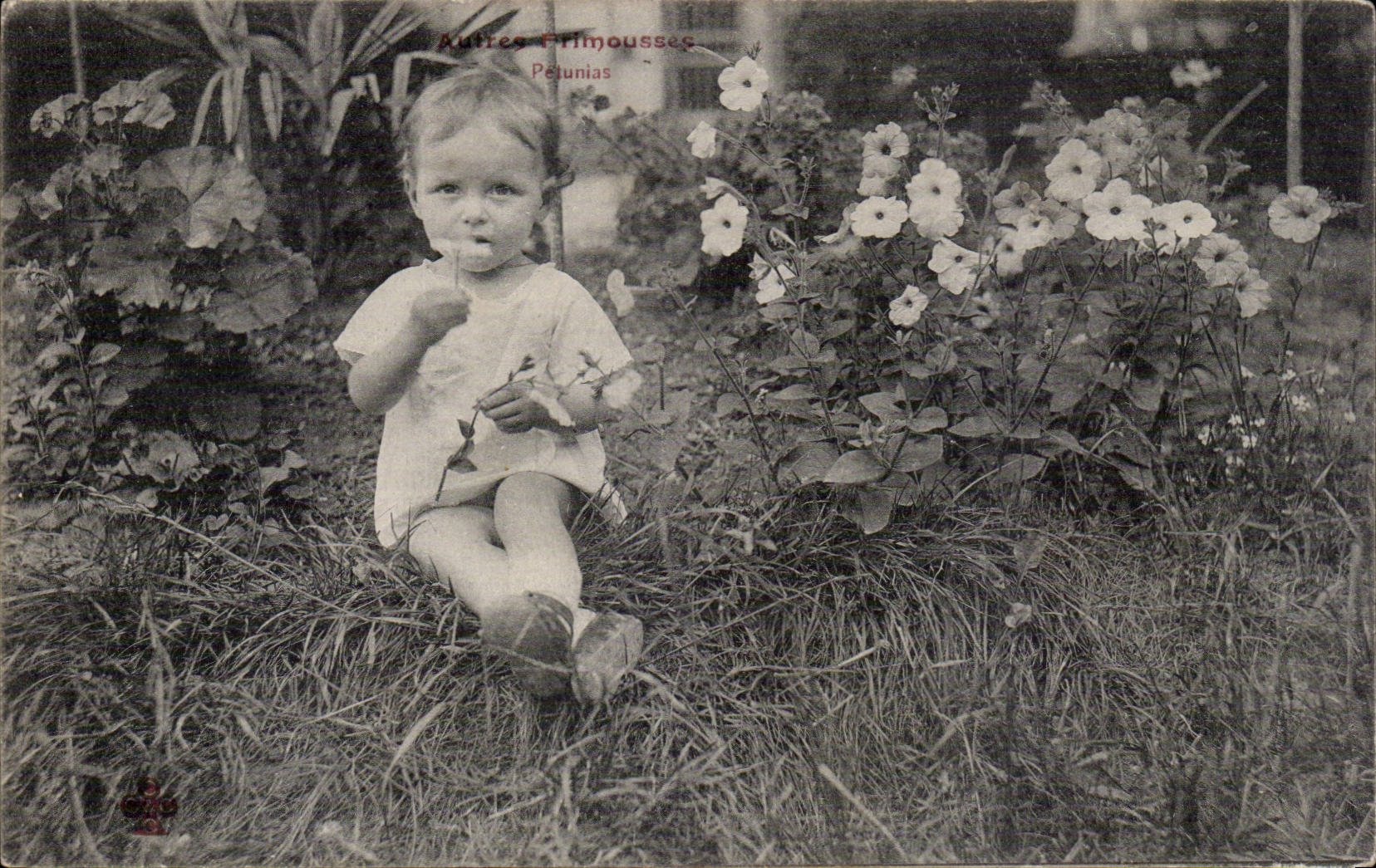 Fantaisie - Enfant - bebe - baby smelling flowers - CPA - Recto