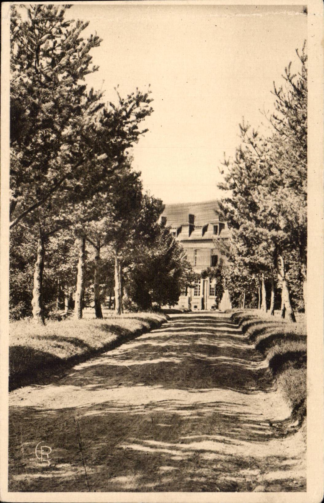 École des Roches — L'Allée des Pins — Héliogravure de l'École des Roches