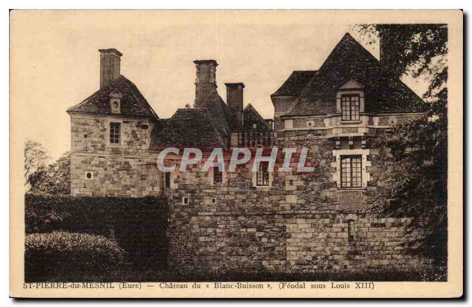 St Pierre du Mesnil - Chateau du Blanc Buisson - CPA 