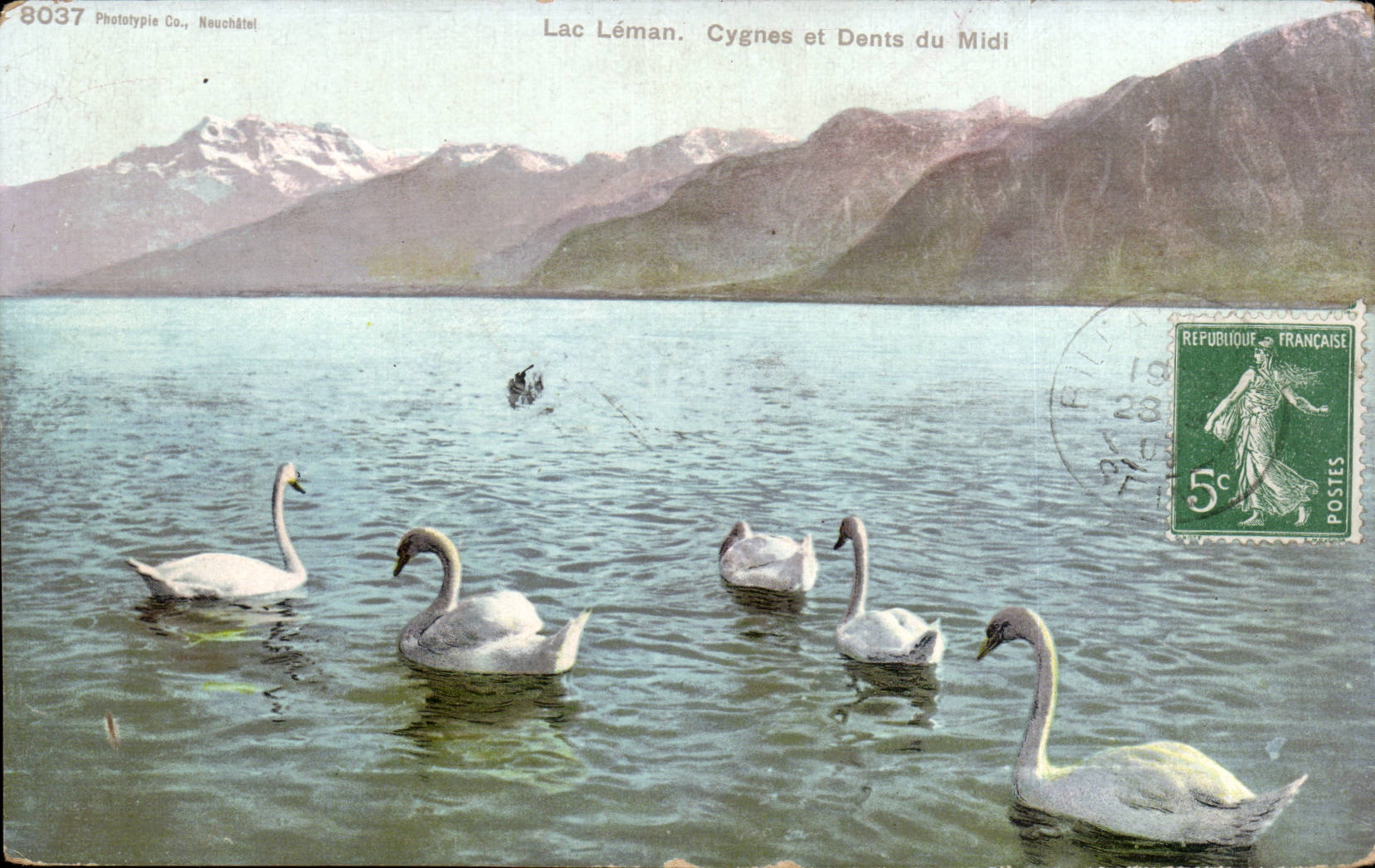 Lac Léman. Cygnes et Dents du Midi — Phototype Co., Neuchâtel, n°8037