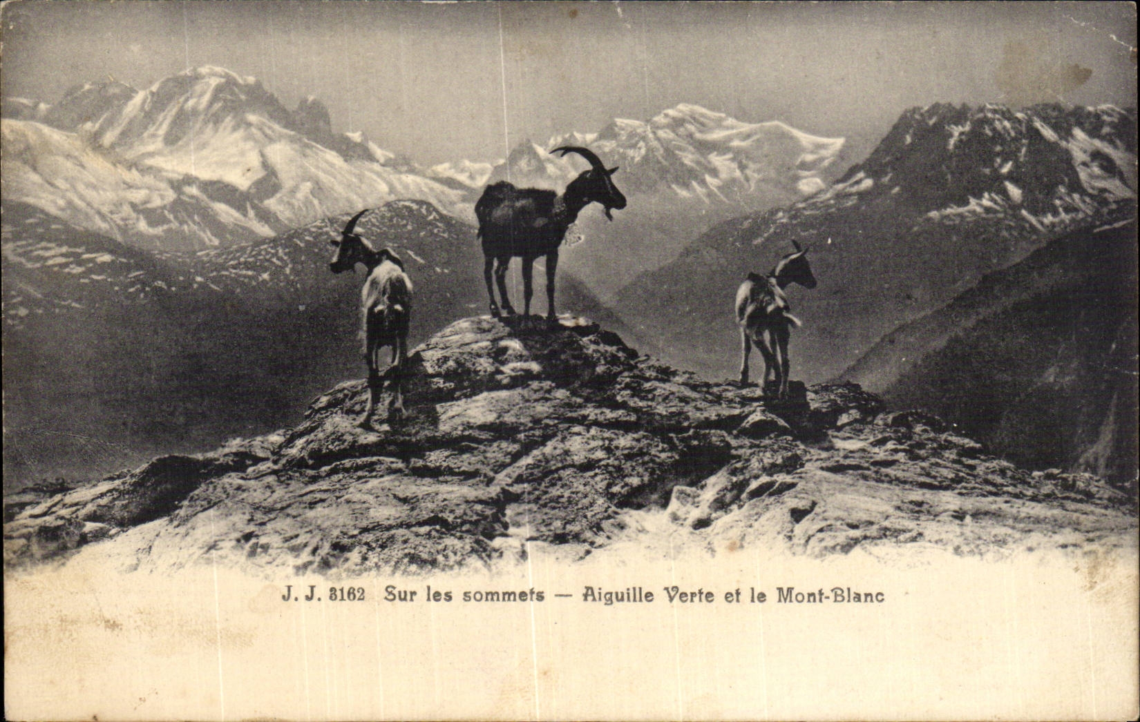 Auf den Gipfeln — Aiguille Verte und Mont Blanc — J.J. 8162