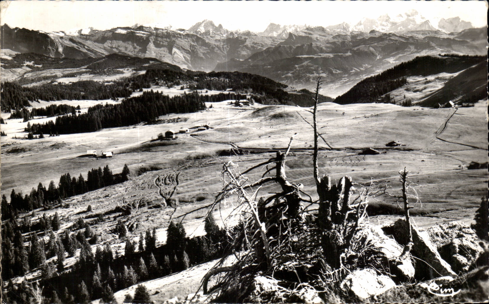 Environ de Taninges — Praz-de-Lys (Haute-Savoie) — Comlier Int. L. (S.-et-L.)