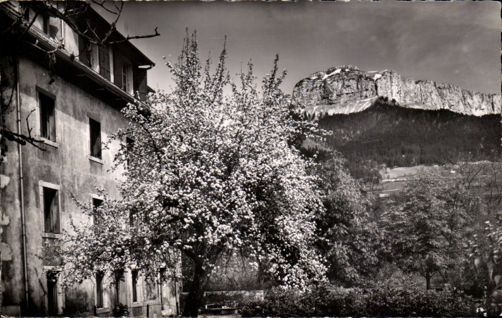 Villaz (Haute-Savoie) — Maison de Repos et de Convalescence du Château de « Bon Attroit » — Édition Touring International, n° 267