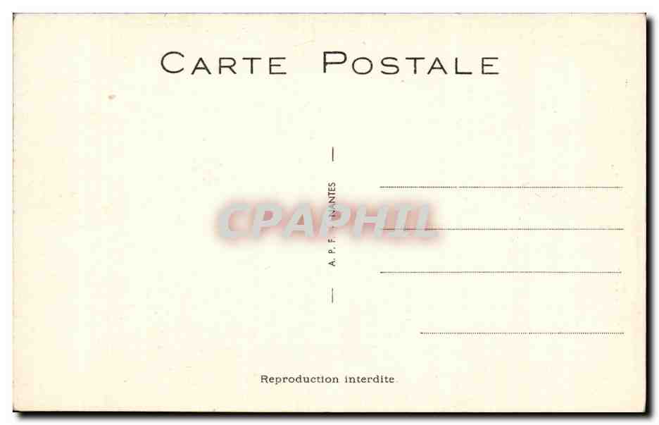 CPA Fantaisie Humour Tu me catouilles Zazeph — Rückseite