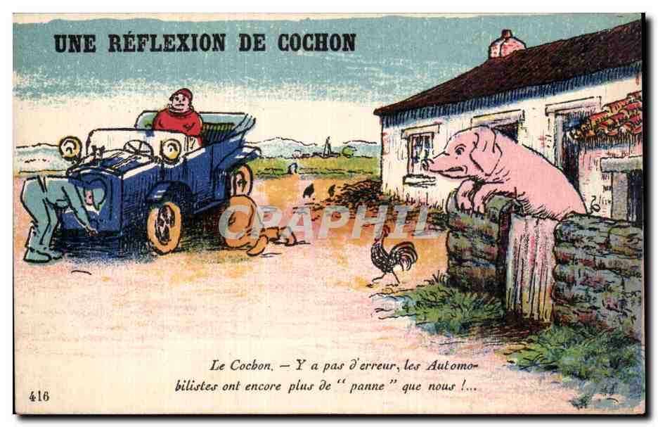 Une réflexion de Cochon — caricature animale — C. ANTIBÉ, n°416