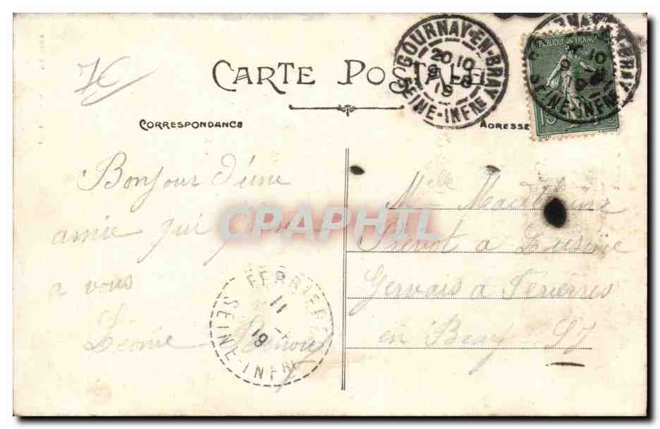 Elbeuf - Dans le Parc du Chateau Cedre du Liban Lebanon - CPA  — Rückseite