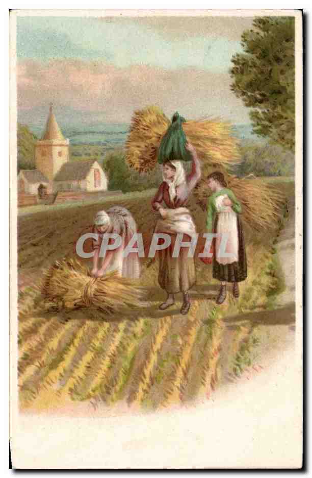 Arts - Tableaux - Beautiful Painting - Agriculture - CPA 