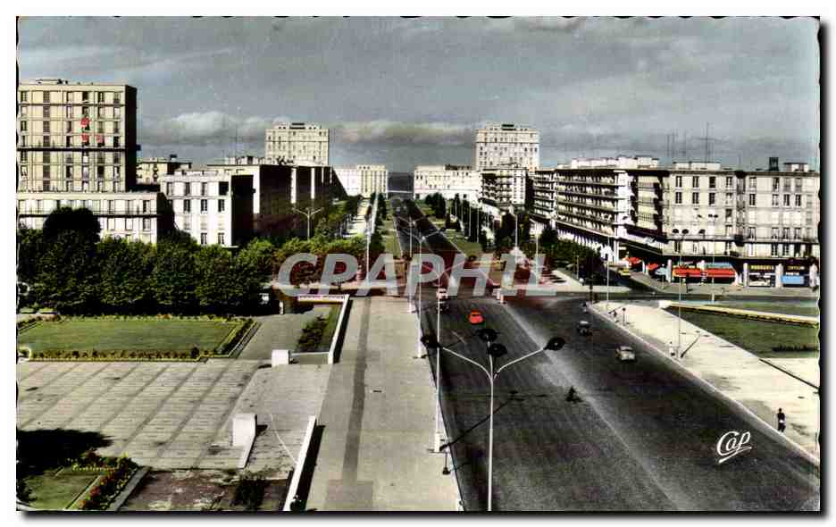 Le Havre - Avenue Foch - CPA 