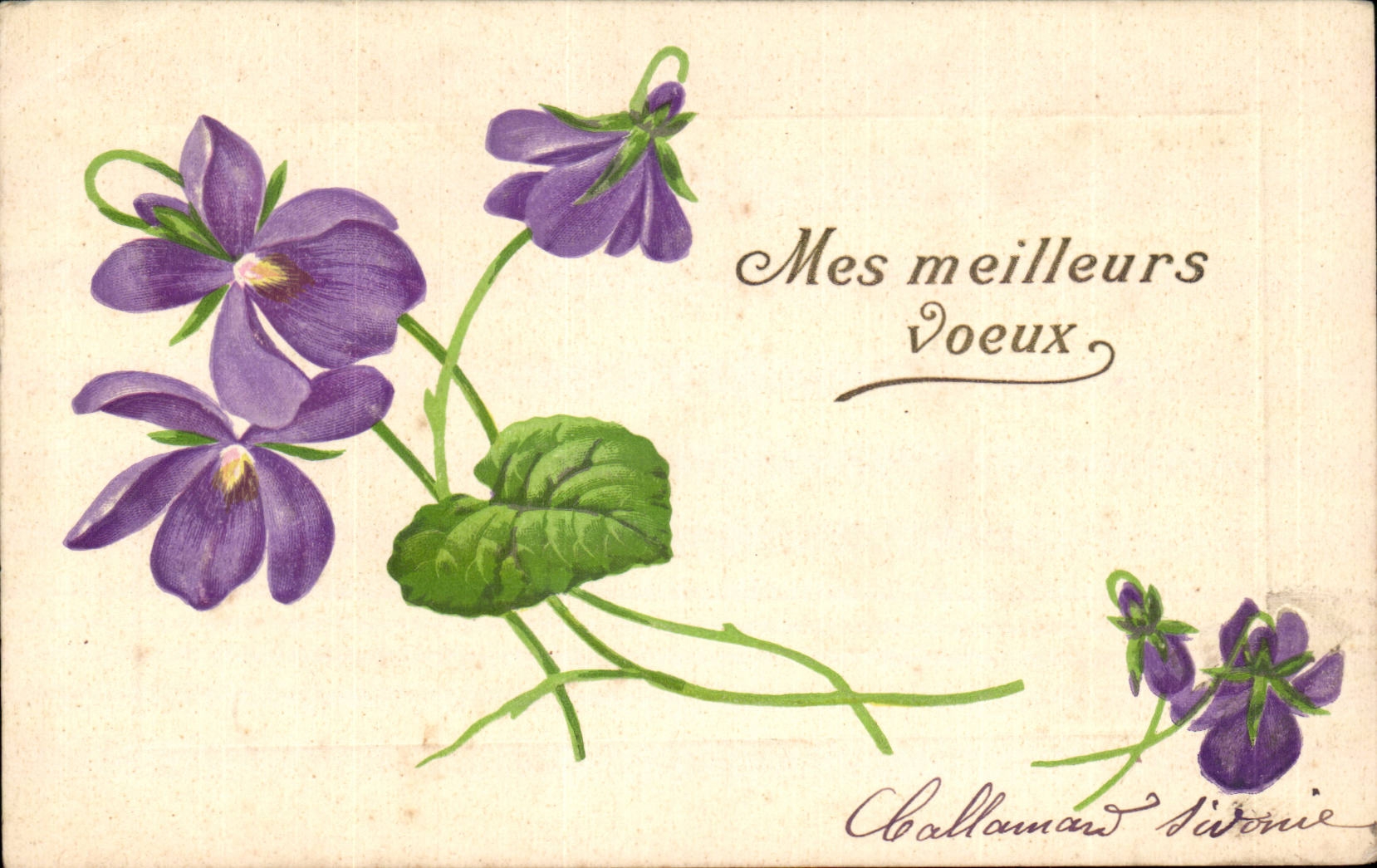 CPA Fantaisie Fleurs 