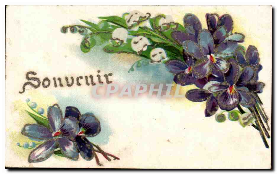CPA Fantaisie Fleurs 