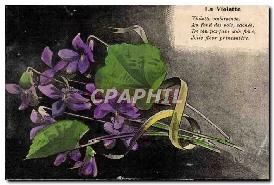 CPA Fantaisie Fleurs La Violette
