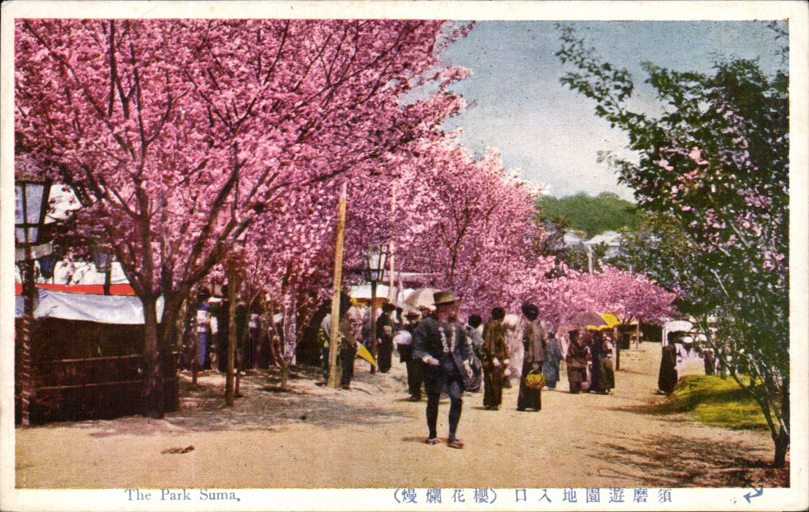 CPA Japon Japan Nippon The park Suma