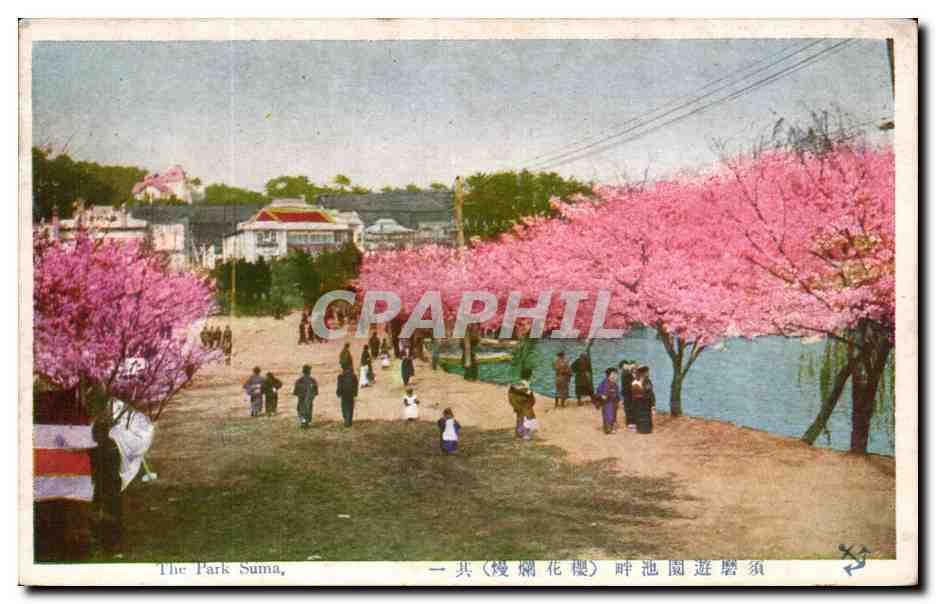 CPA Japon Japan Nippon The park Suma