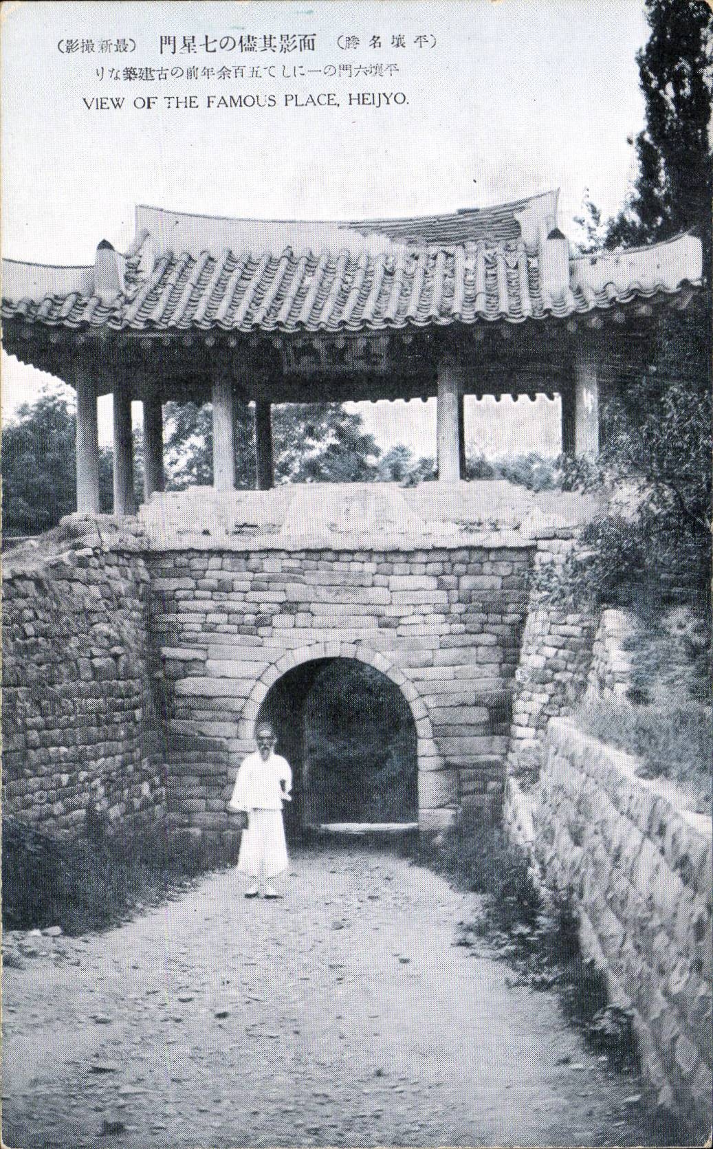 CPA Japon Japan Nippon View of the famous place Heijyo