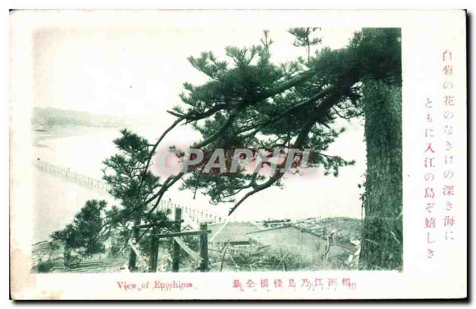 CPA Japon Japan Nippon View of Enoshima
