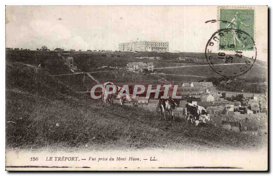 CPA Le Treport Vue prise du Mont Huon Vaches