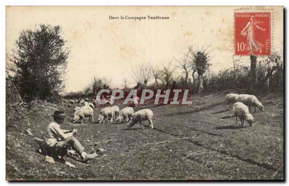 CPA Dans la campagne vendeenne Moutons Berger Folklore