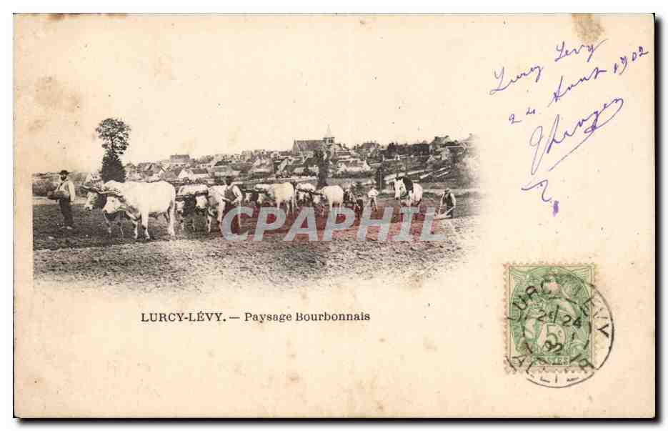 CPA Lurcy Levy Paysage bourbonnais Vaches