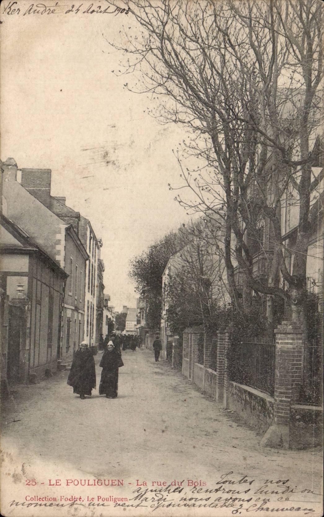 CPA Le Pouliguen La rue du bois