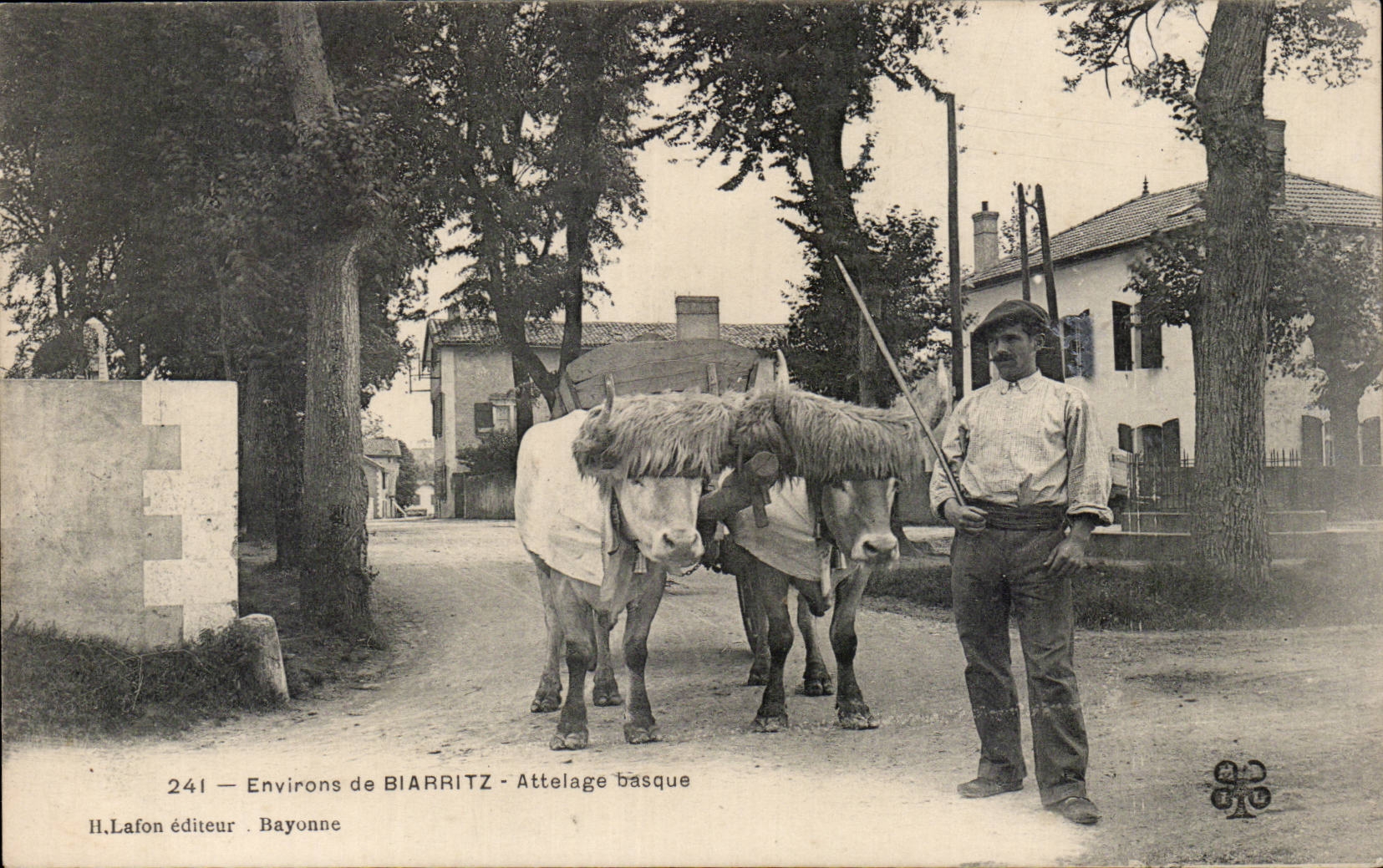 CPA Environs de Biarritz Attelage basque Boeufs TOP