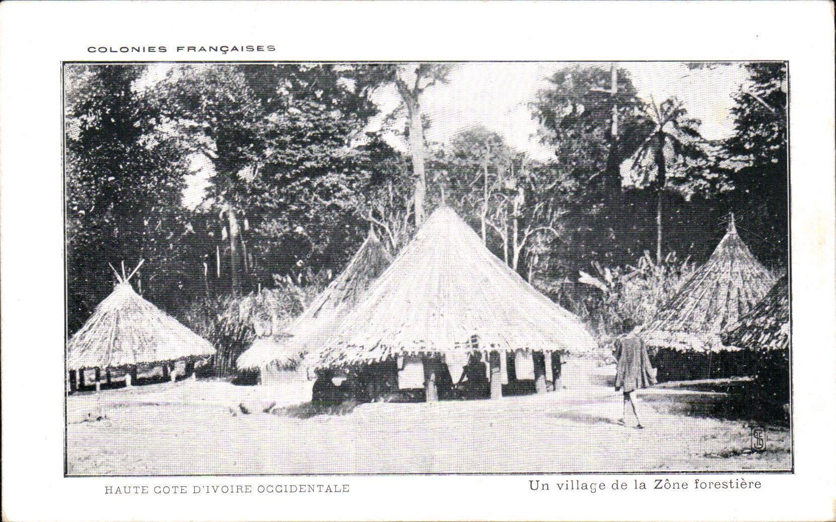 CPA Colonies Francaises Haute Cote d'Ivoire Un village de la zone forestiere