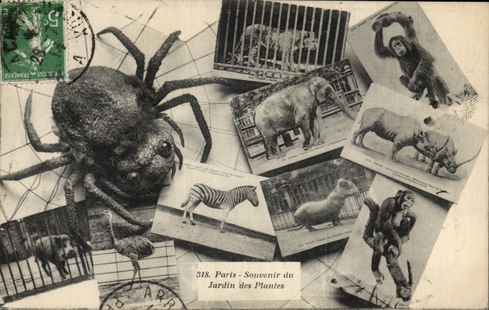 Parigi - Ricordo del Jardin des Plantes — 318 — editore non visibile