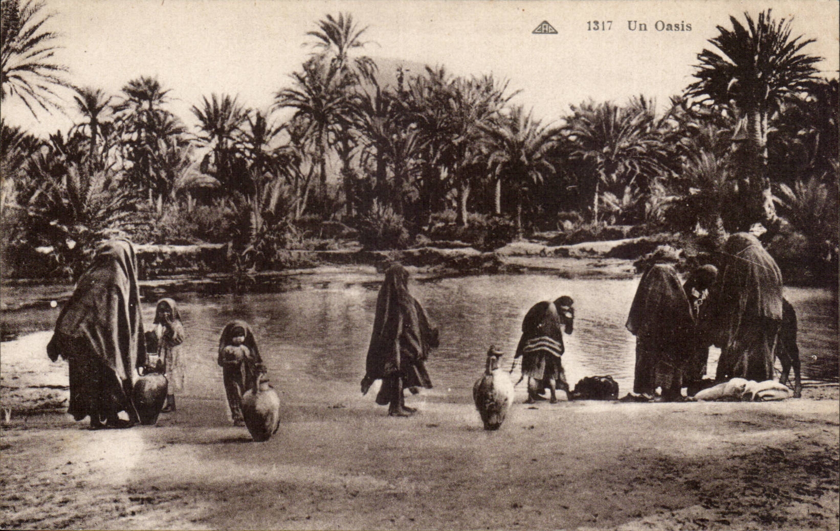 CPA Un oasis Afrique du nord Algerie