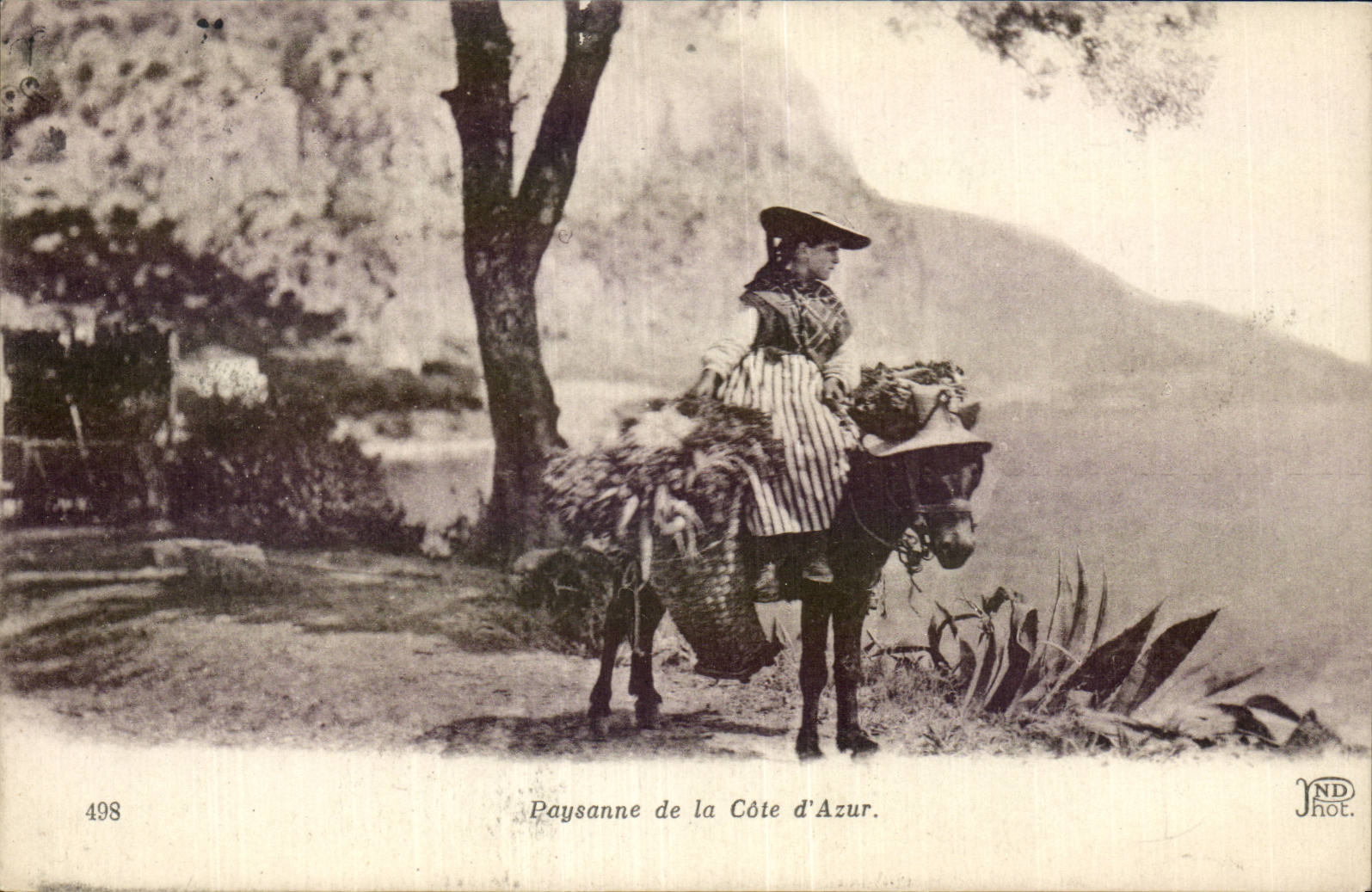 CPA Paysanne de la cote d'azur Donkey