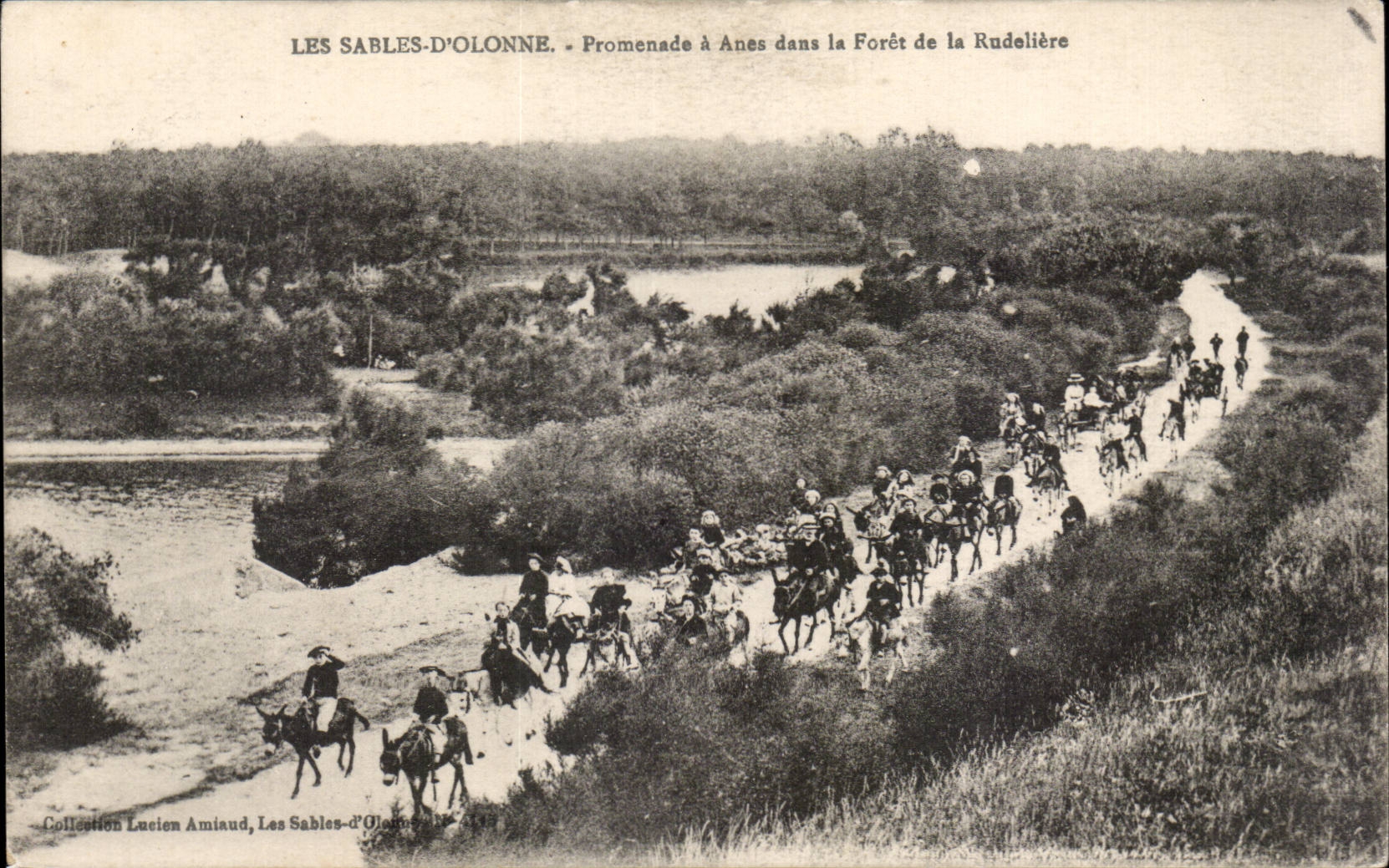 CPA Les Sables d'Olonne Promenade a anes dans la foret de la Rudeliere Donkey 