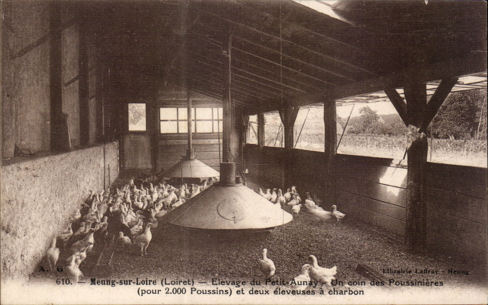 Meung-sur-Loire (Loiret) — Zucht von Petit-Aunay — Ein Teil der Poussinières (für 2.000 Küken) und zwei Kohle-Futterstellen