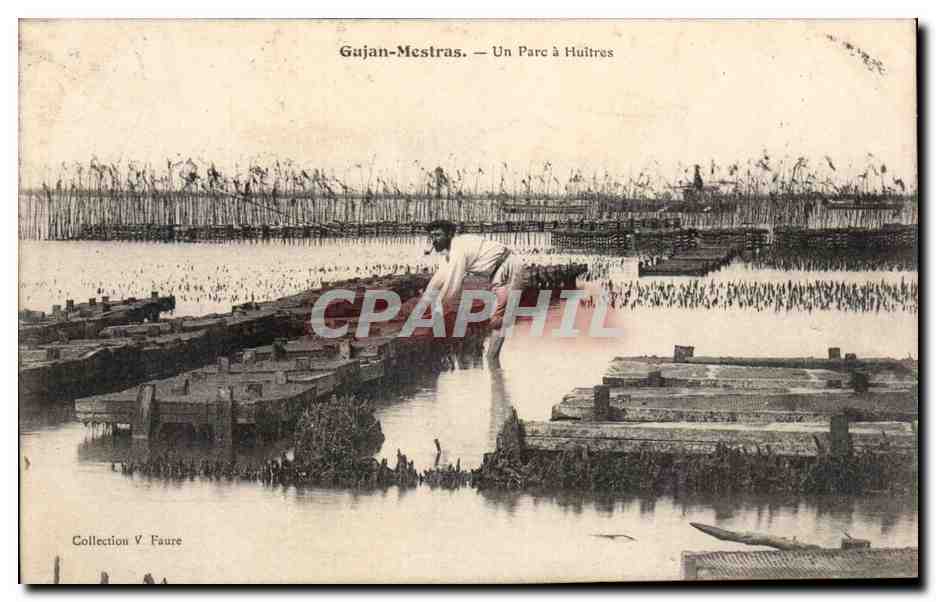 CPA Gujan Mestras Un parc a huitres Ostreiculture