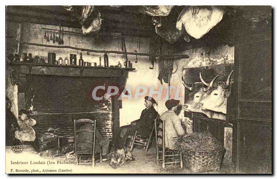 REPRO Interieur landais Vaches Boeufs