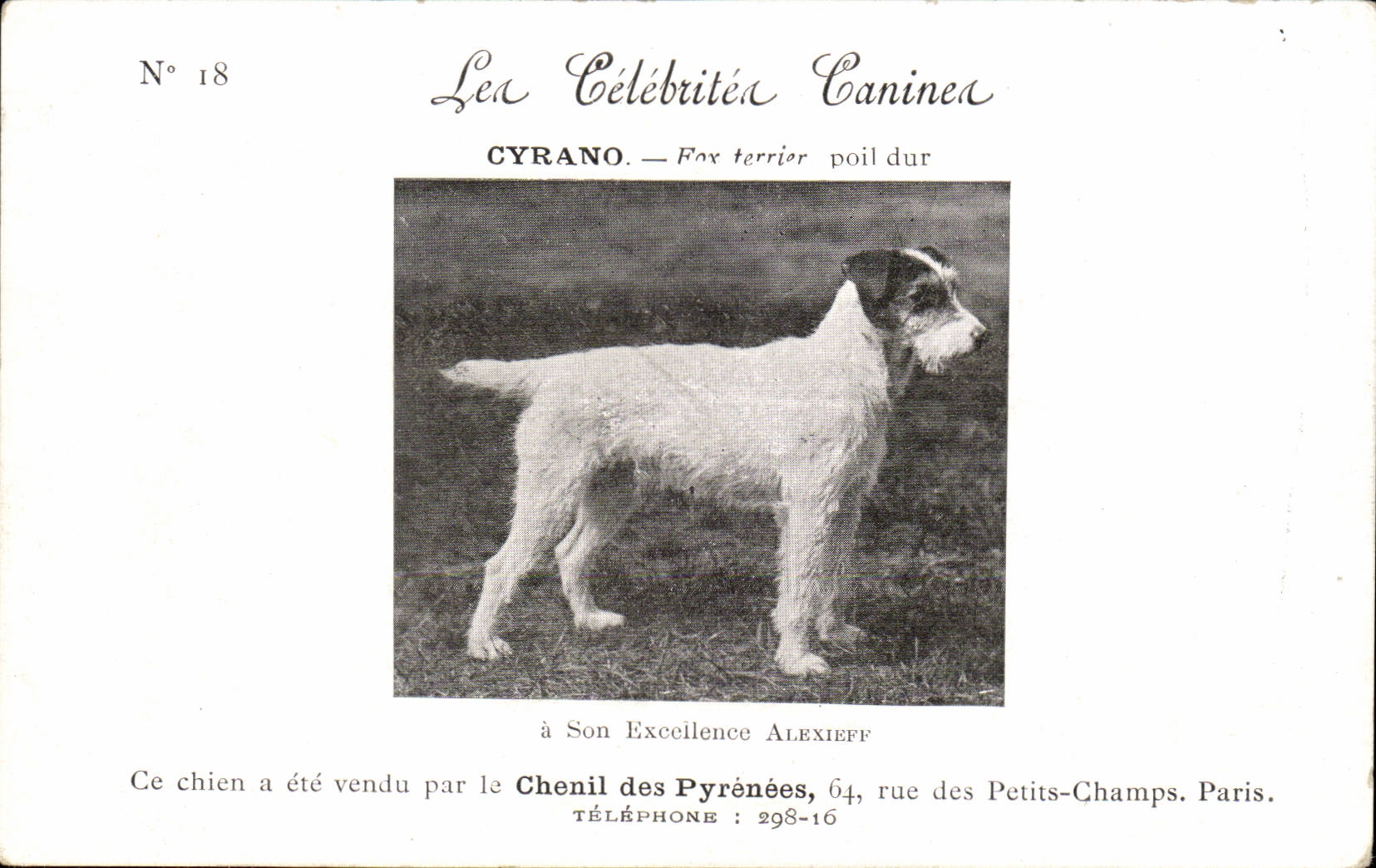 CPA Chien Cyrano Fox terrier celerite canine Chien au dos photo Paray le Monial 