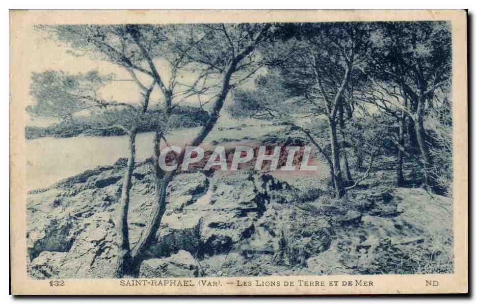 CPA Saint Raphael Les lions de la terre et de mer