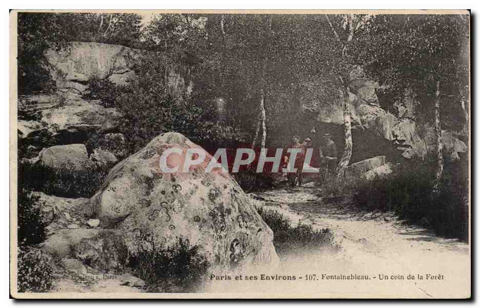 Fontainebleau - Un angolo della Foresta — Paris et ses Environs - 107 — Editore: Éd. de Phalènes, Paris