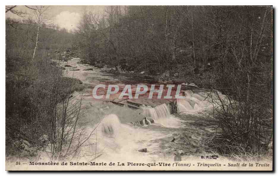 CPA Monastere de Sainte Marie de la Pierre qui Vire Trinquelin Sault de la Truite